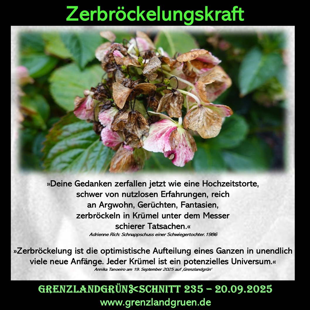 235 Zerbrckelungskraft.jpg